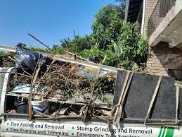 Trusted Wyoming, MN Junk Removal Services Experts
